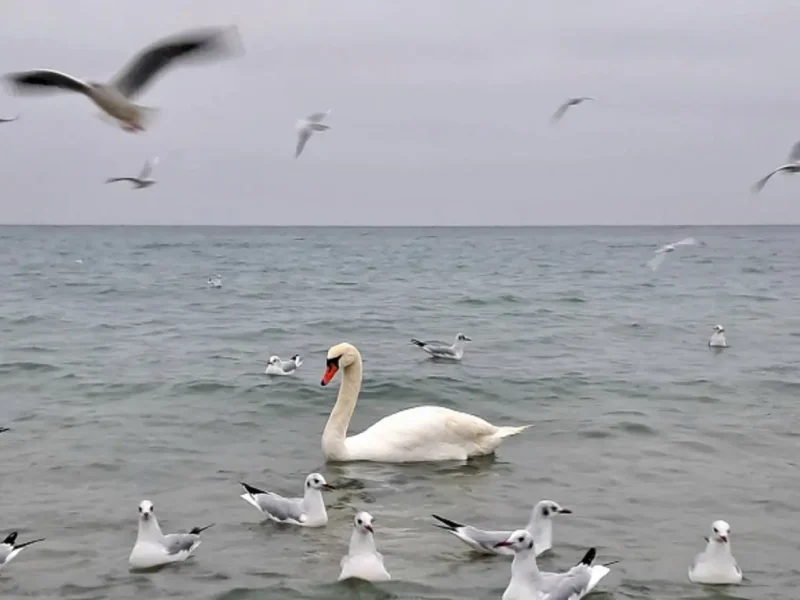 Одесское побережье в декабре