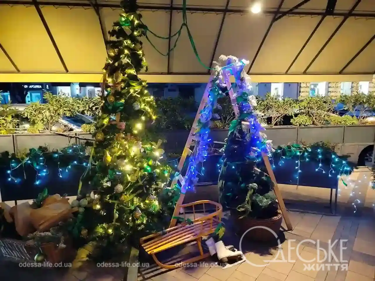 Новорічні вітрини одеських магазинів