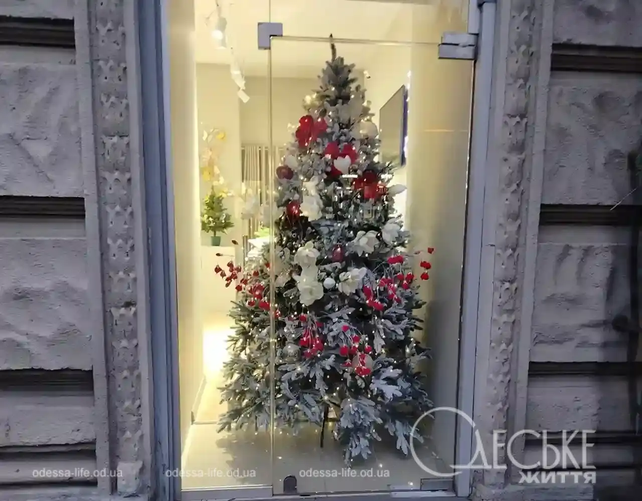 Новорічні вітрини одеських магазинів