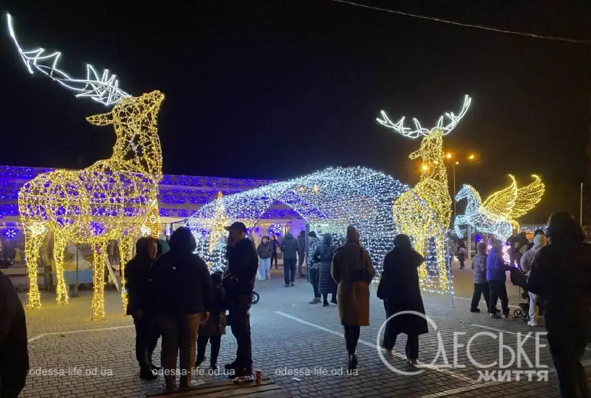 Одесса, Поскот, 6 декабря 2025