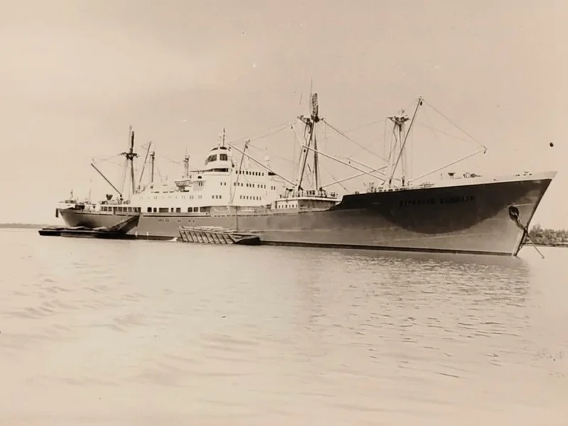 Сухогруз "Партизан Бонівур"