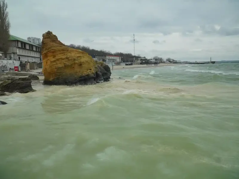 На море маслянная пленка, а берег усеян мертвыми птицами — фоторепортаж с места катастрофы в Одессе