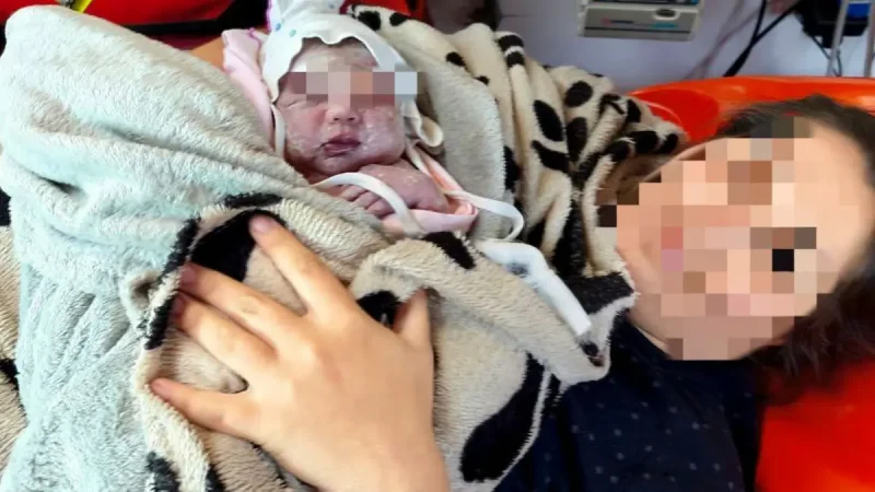 пологи в швидкій