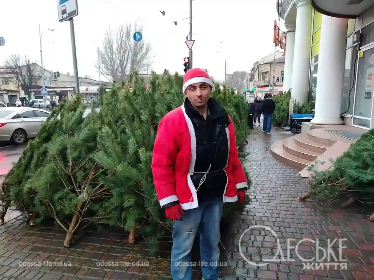 В Одесі розпочали продавати ялинки