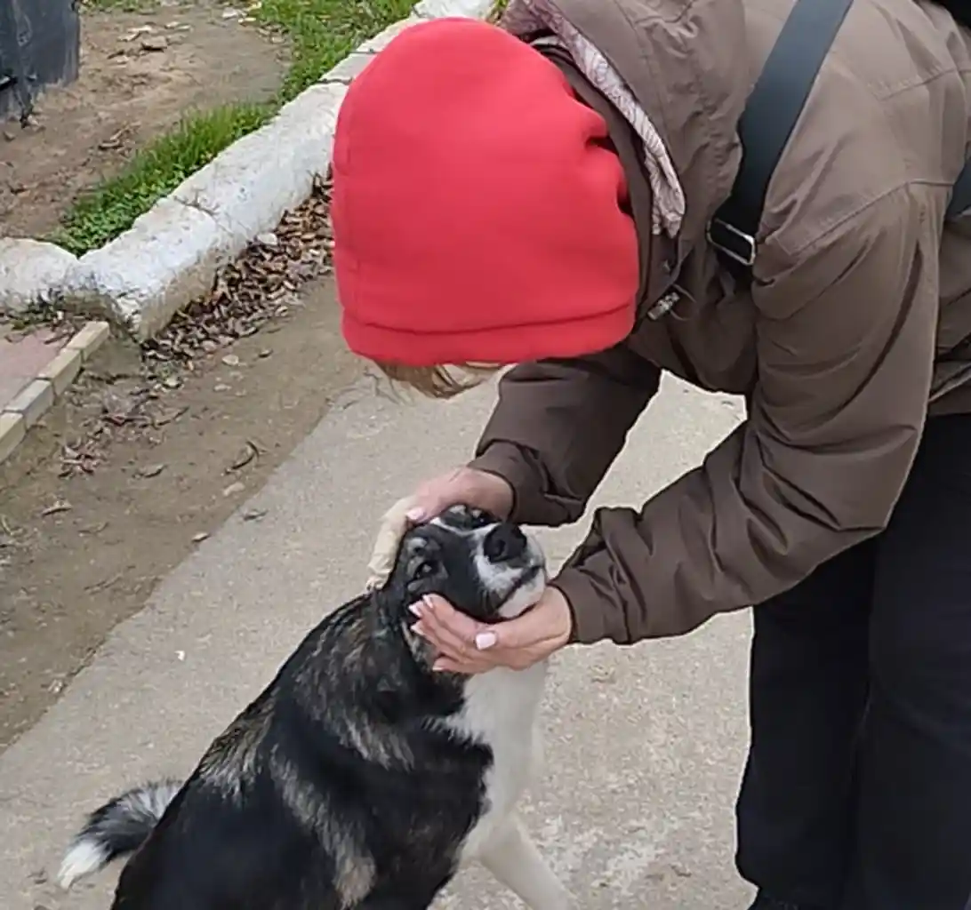 Волонтерка Светлана