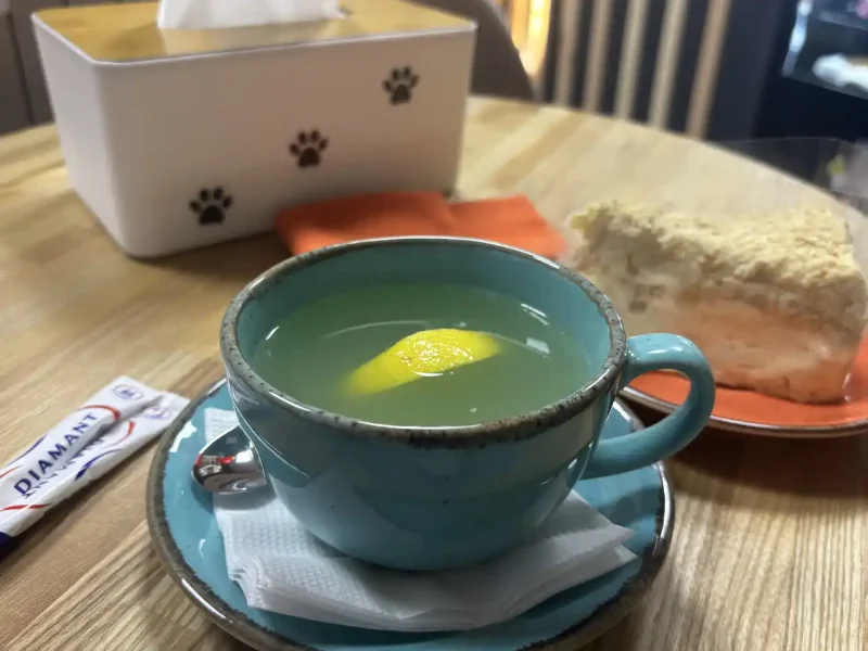 Котокафе CATmosphere в Одесі