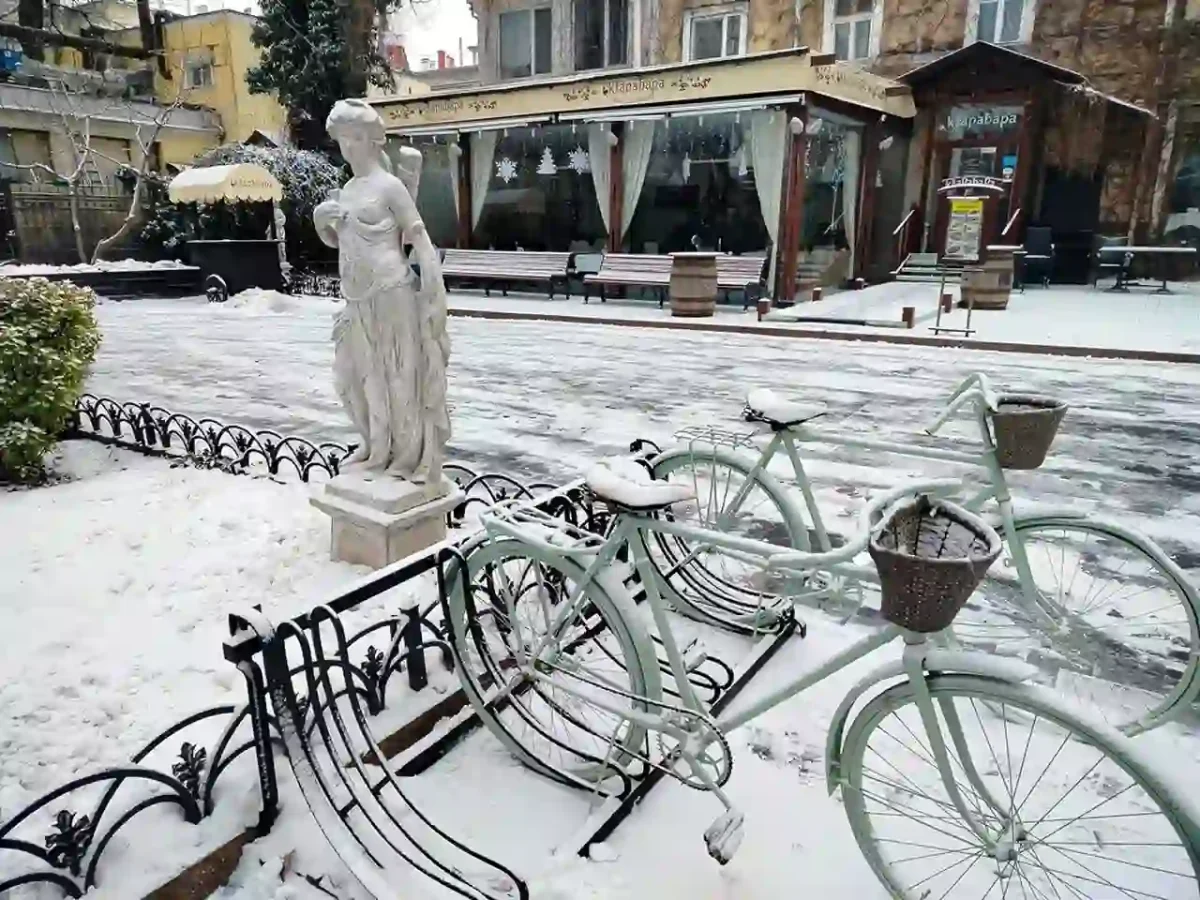 Міський сад Одеси в снігу: біле диво в центрі міста (фоторепортаж)