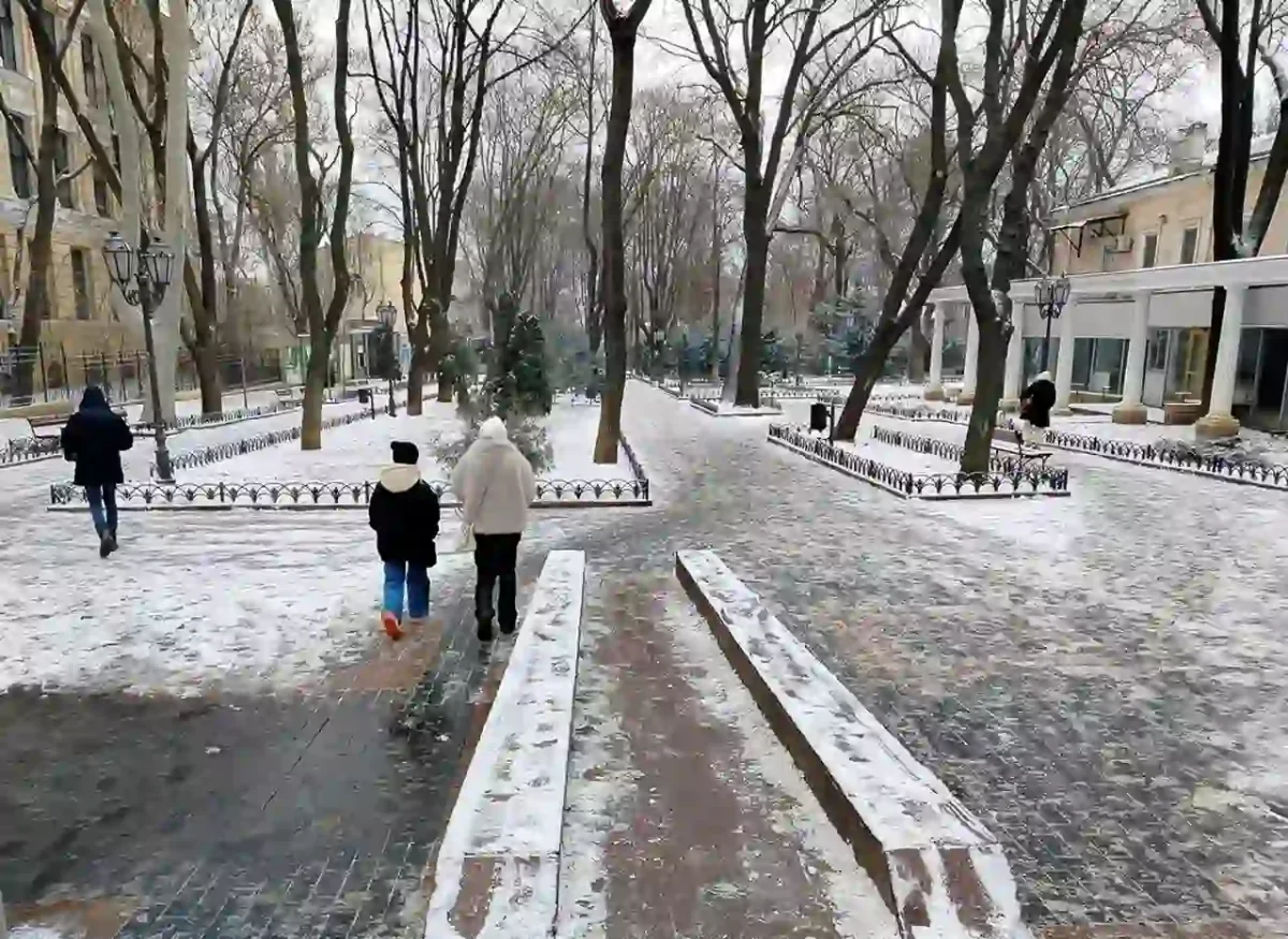 Міський сад Одеси в снігу 23 січня 2026 року