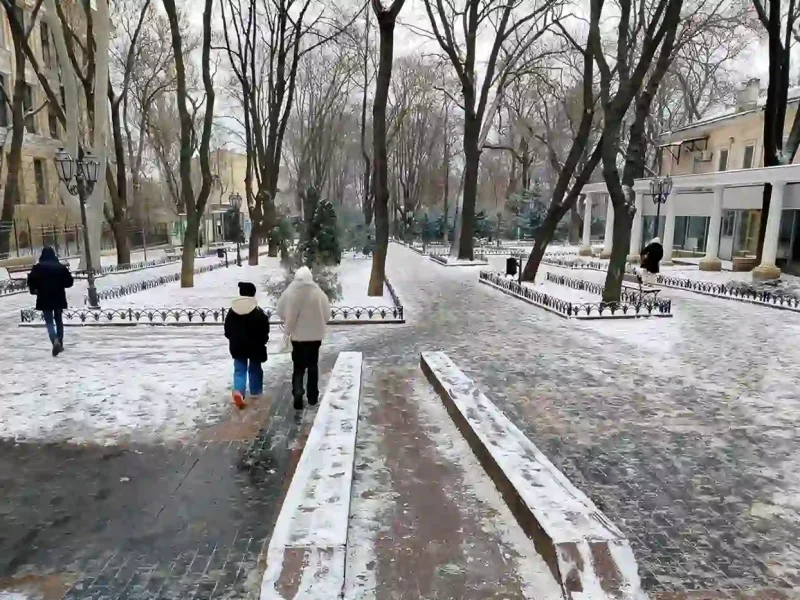 Міський сад Одеси в снігу 23 січня 2026 року