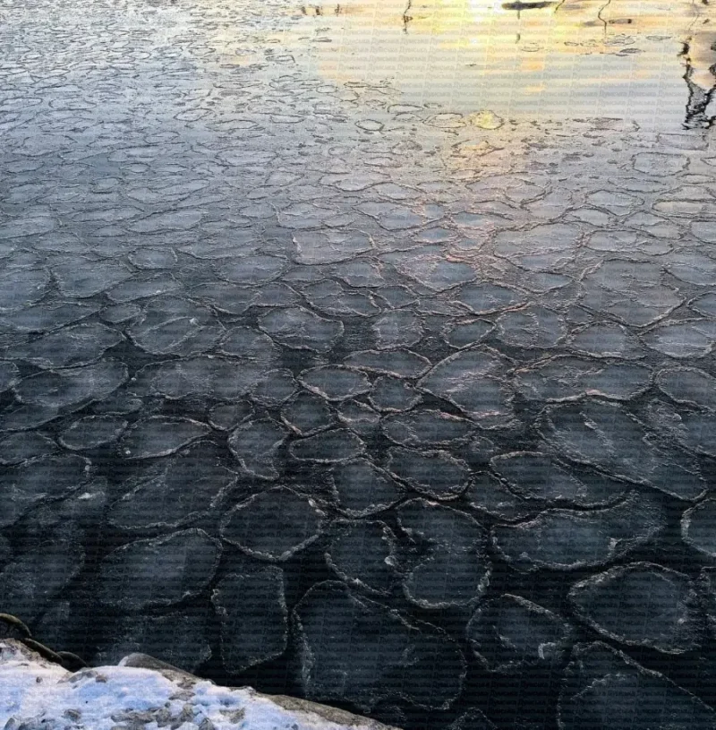 Чорне море замерзло