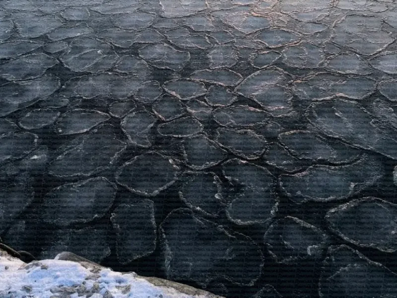 Чорне море замерзло