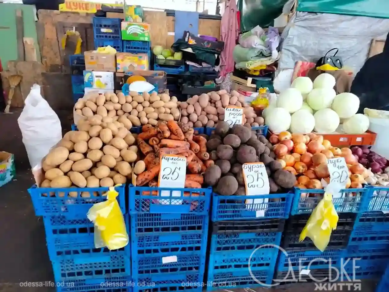 Одеський Привоз 23 січня 2026 року