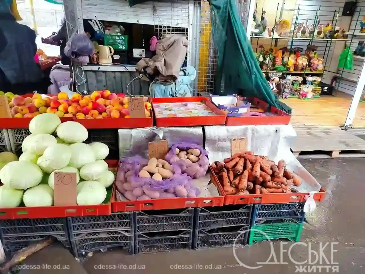 Одеський Привоз 23 січня 2026 року