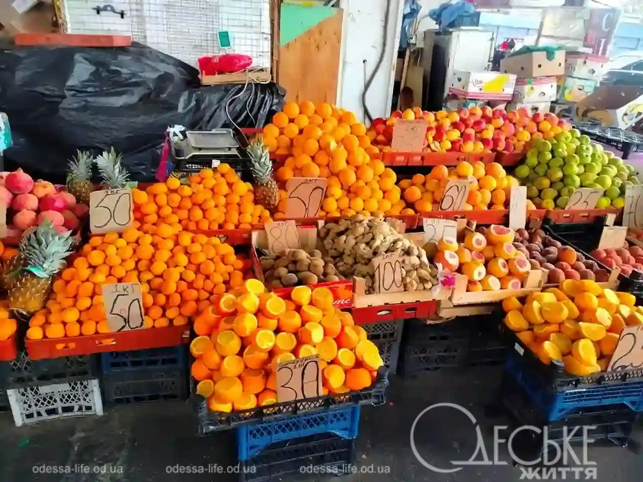 Одеський Привоз 23 січня 2026 року