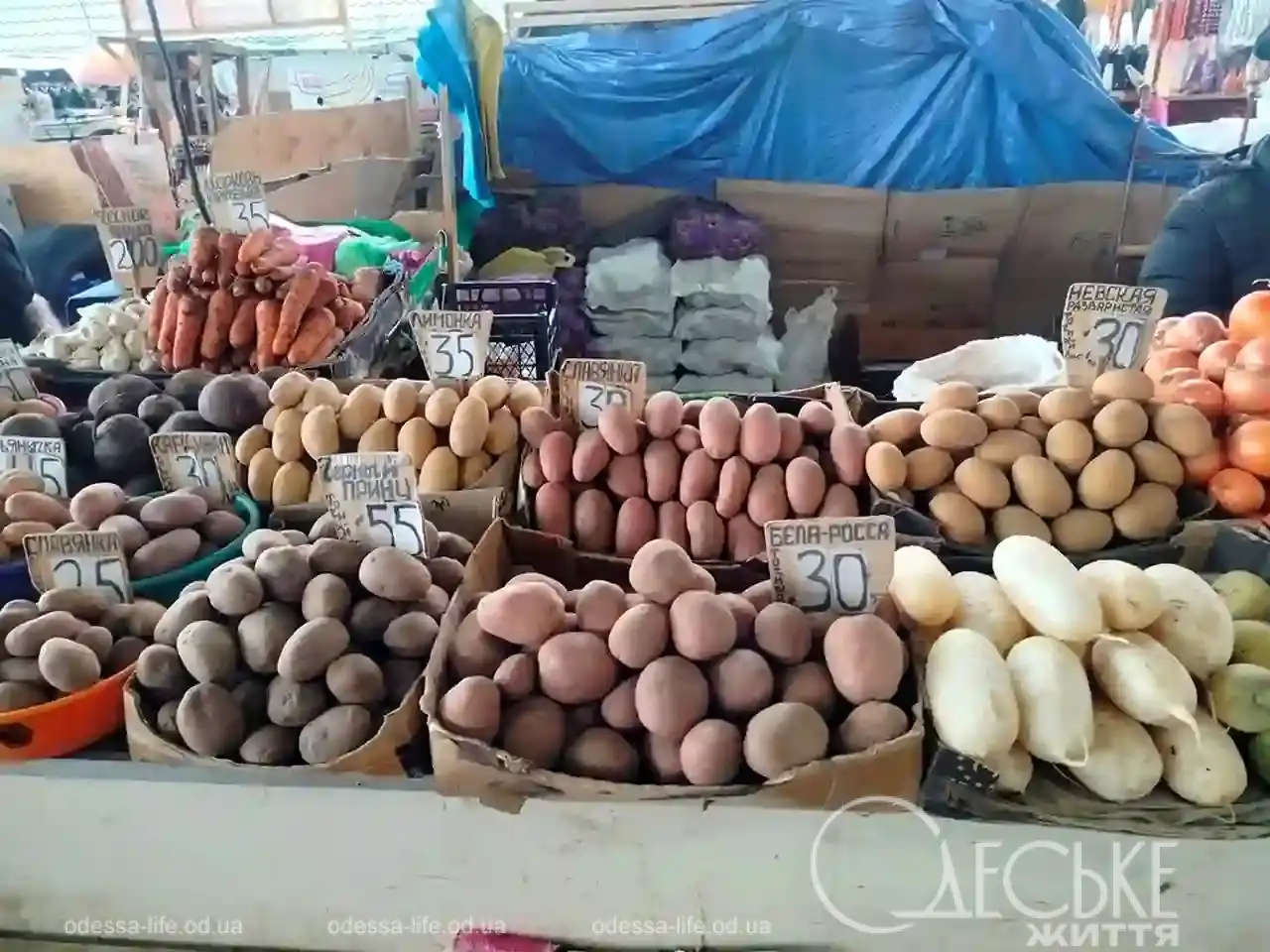 Одеський Привоз 23 січня 2026 року