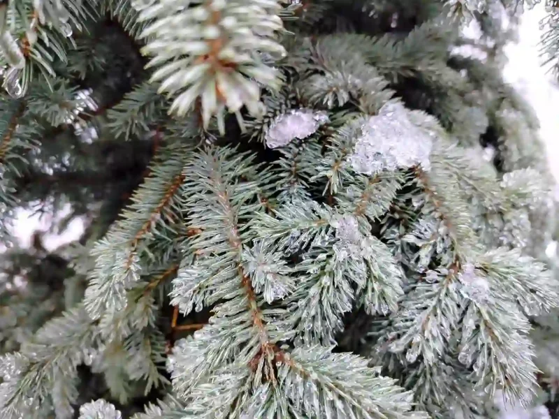 Ожеледиця в провулку Футуристів в Одесі