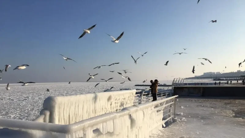 погода в Одесі