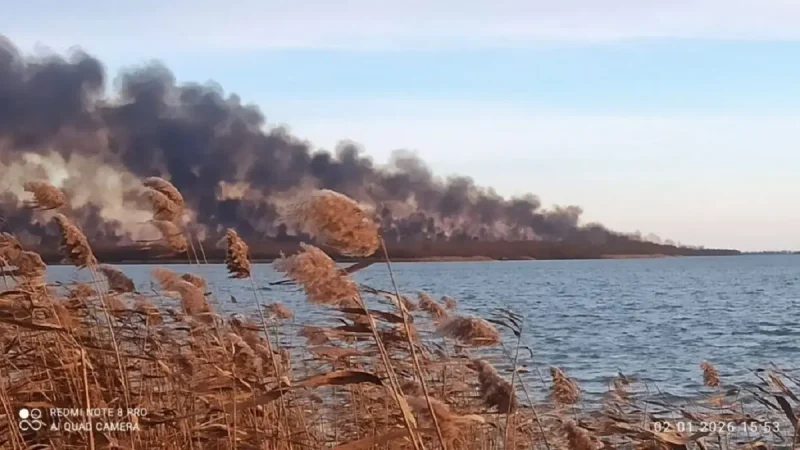 Палають плавні поблизу Вилкового