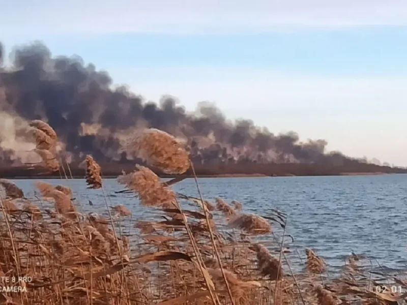 Палають плавні поблизу Вилкового