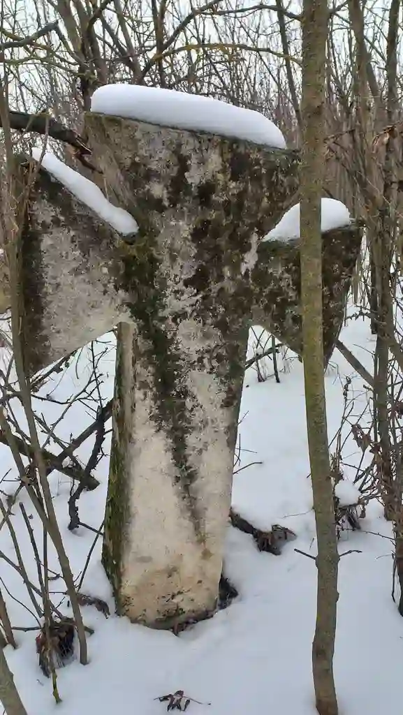 Хрест у Шершенцях