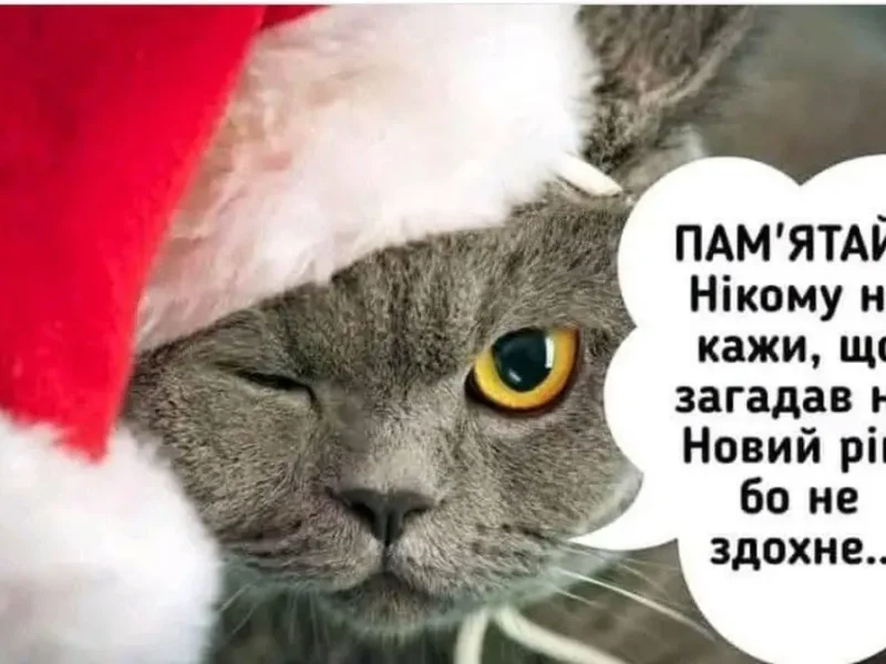 Важное напоминание