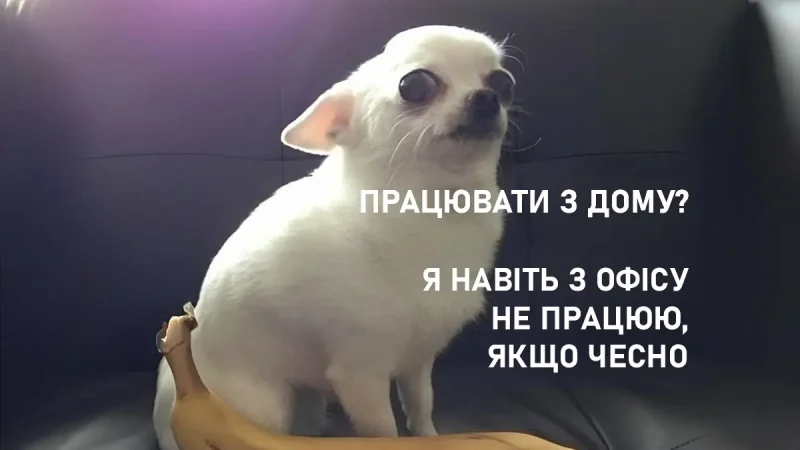 меми про роботу