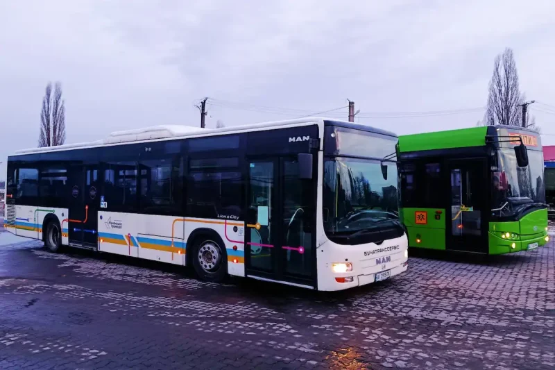автобусы