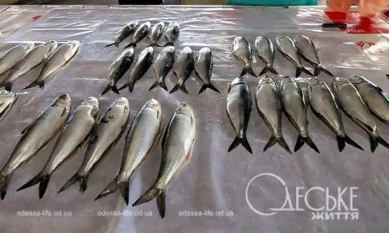 Дунайка на Привозі