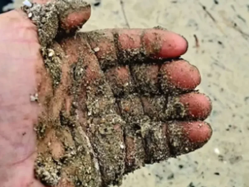 Соняшникова олія знову забруднила узбережжя «Тузлівських лиманів»