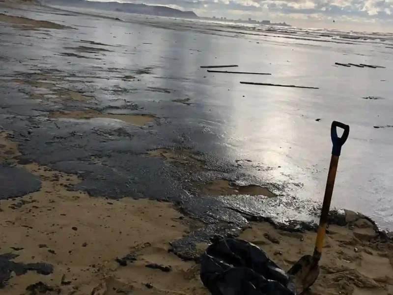 Мазут на березі моря