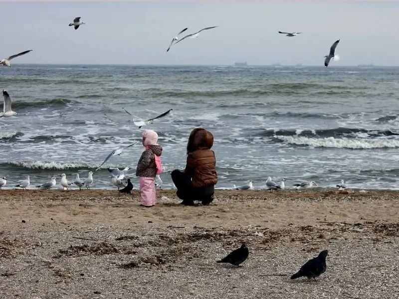 На одесском пляже зимой, февраль 2026 г.