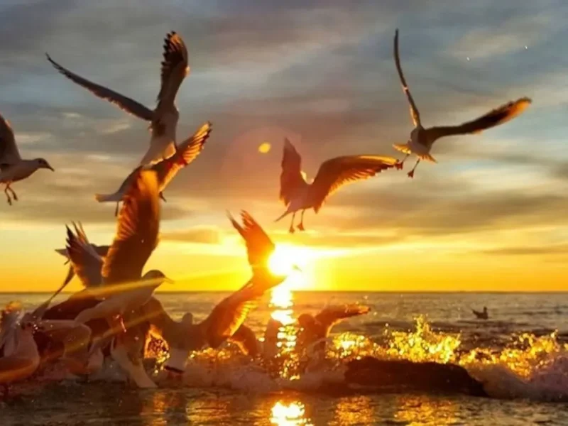 У берегов Одессы