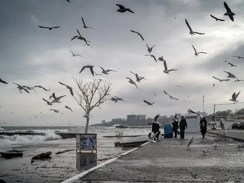 Одесский пляж зимой