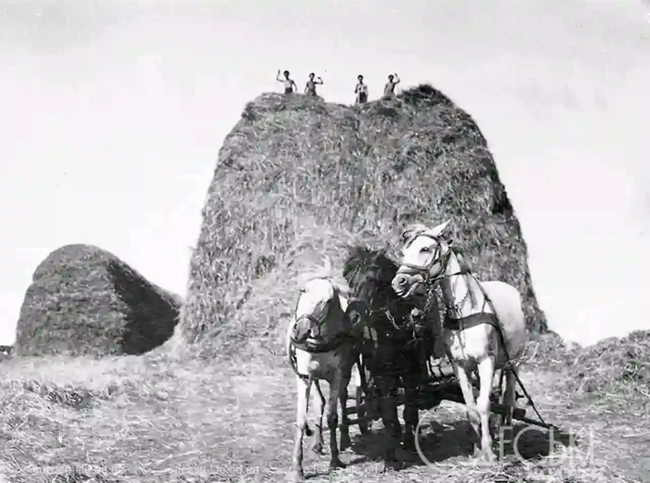 Стара фотографія