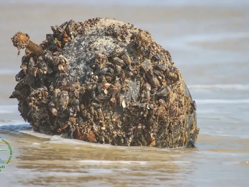 Мина на черноморском побережье