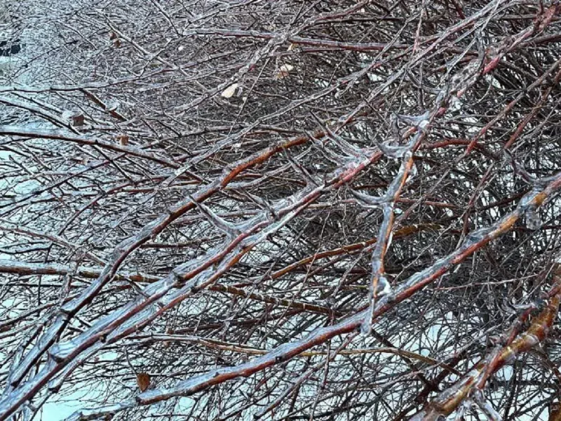 Гололедица в Одессе