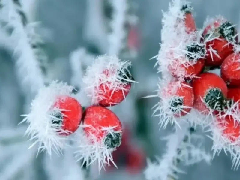 погода в Одесі