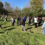 Благоустрій у Ярославовому