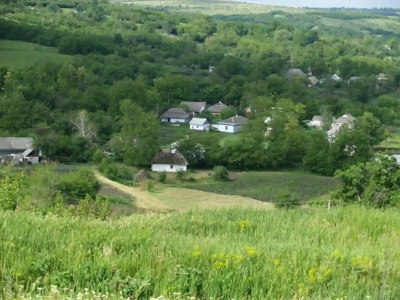 Панорама села Бобрик Перший