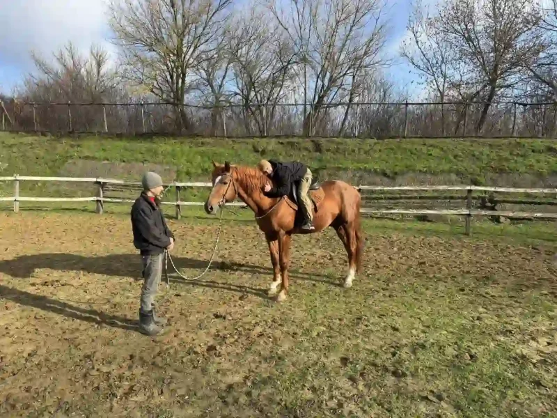 Заняття верховою їздою - реабілітація військових