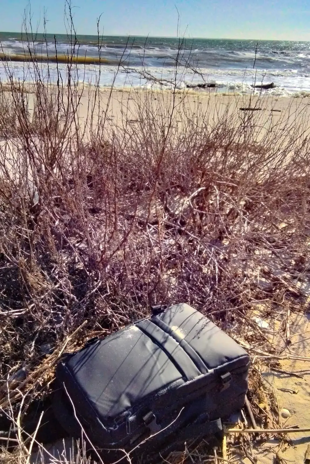 Знахідка Тузливські лимани