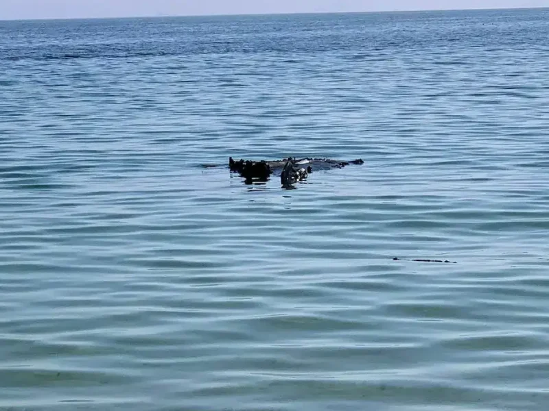 Ланжерон, герань-2