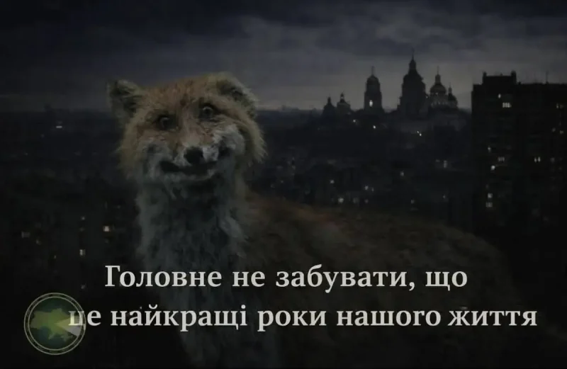меми про життя в Україні