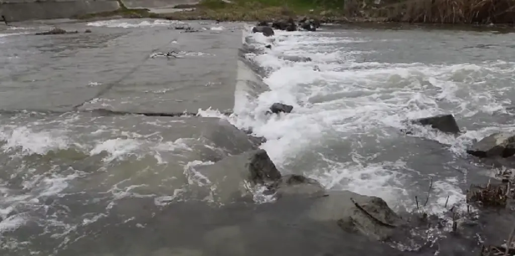 В Ізмаїльському районі почали екстрено наповнювати озеро Катлабух водою з Дунаю за допомогою потужних насосних станцій
