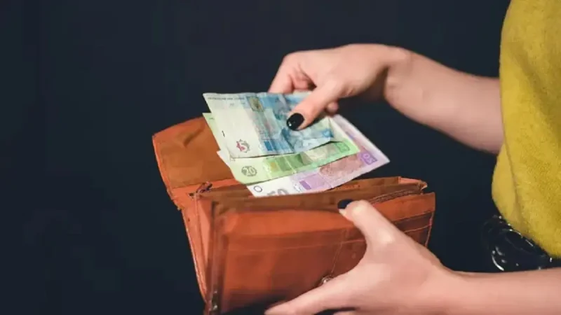 Які купюри перестали приймати з 2 березня, гаманець із грошима
