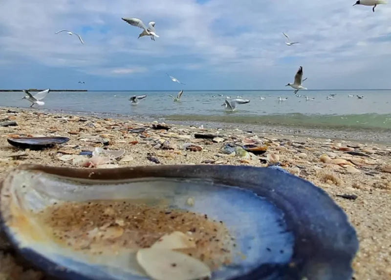 Одесский пляж весной