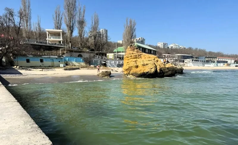 Море в Одесі стало жовтим і пахне олією