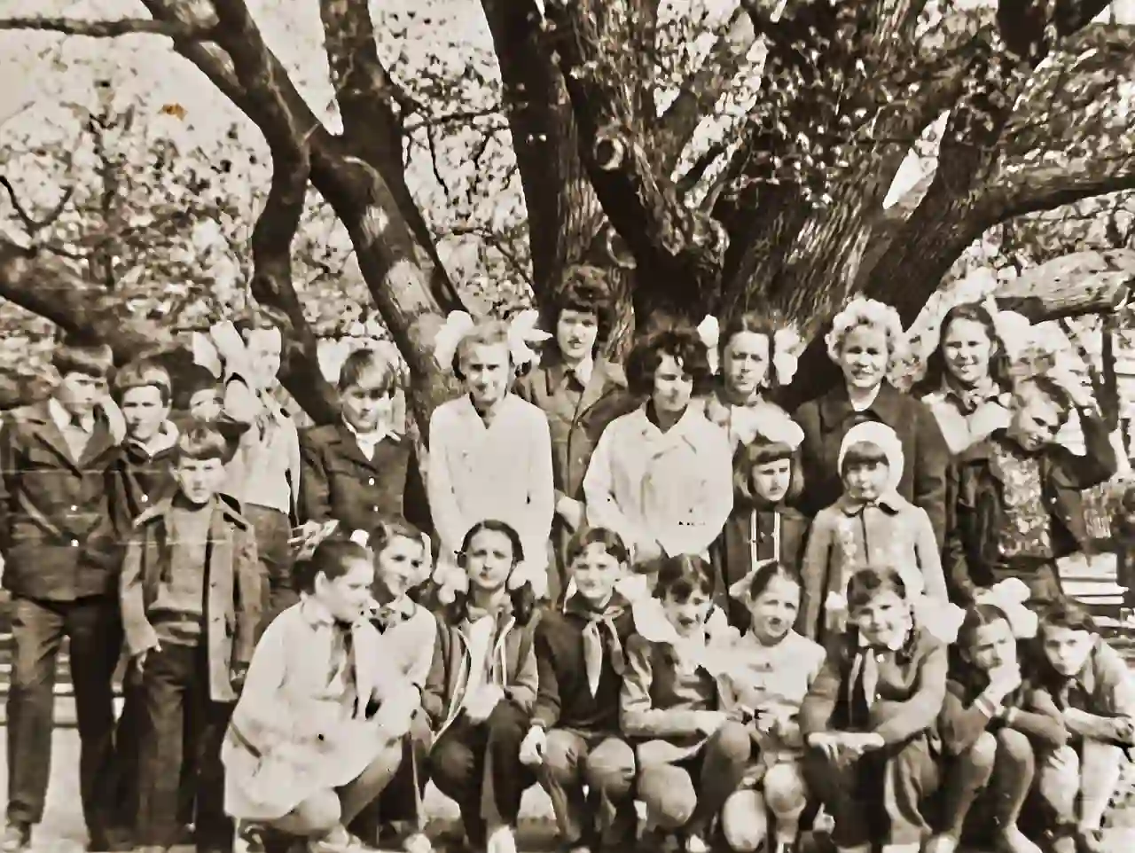 На Хортиці під козацьким дубом