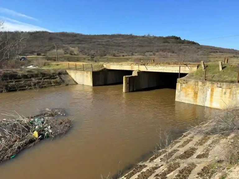 Паводок на річці Великий Куяльник