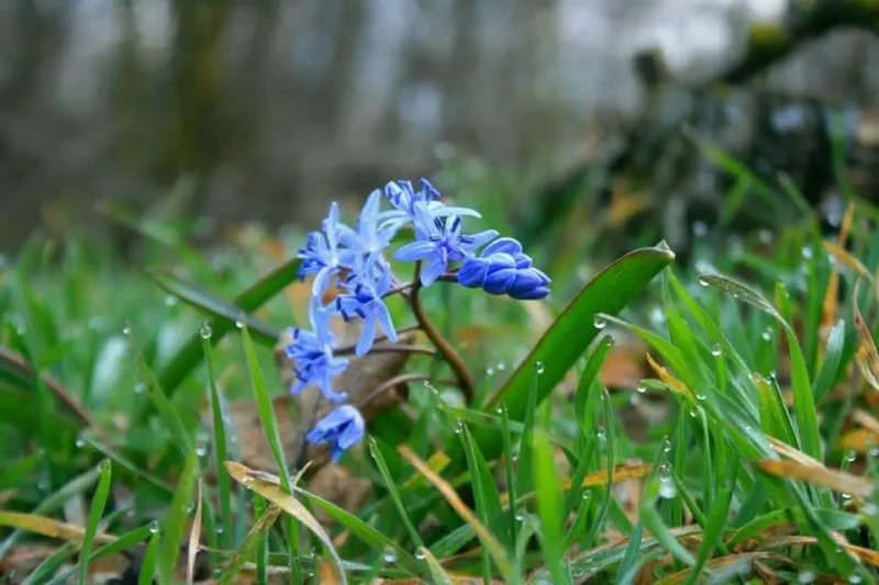 Національний природний парк "Тузлівські лимани"